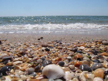 Plaj ve dalgalar üzerinde Karadeniz, Odessa