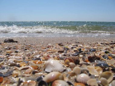 Plaj ve dalgalar üzerinde Karadeniz, Odessa