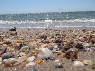 Plaj ve dalgalar üzerinde Karadeniz, Odessa