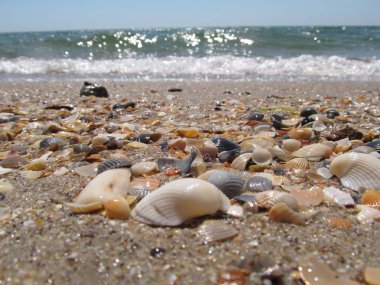 Plaj ve dalgalar üzerinde Karadeniz, Odessa