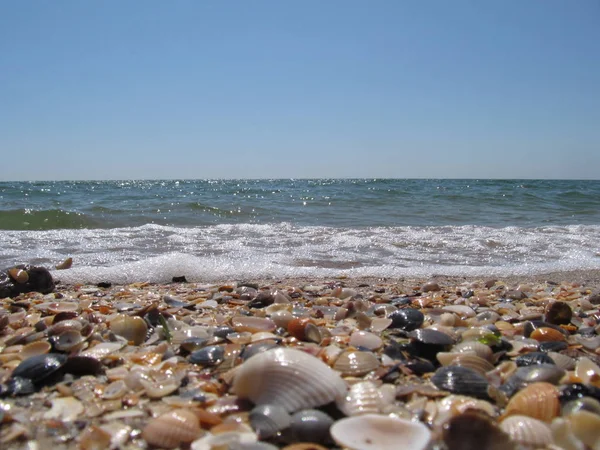 Plaj ve dalgalar üzerinde Karadeniz, Odessa