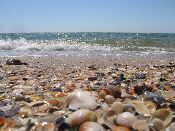 Plaj ve dalgalar üzerinde Karadeniz, Odessa