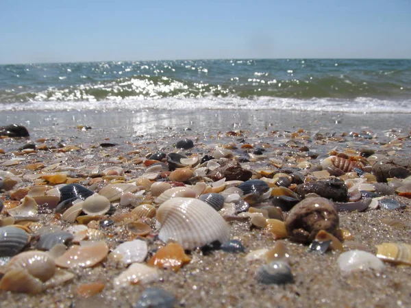 Plaj ve dalgalar üzerinde Karadeniz, Odessa