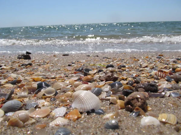 Plaj ve dalgalar üzerinde Karadeniz, Odessa