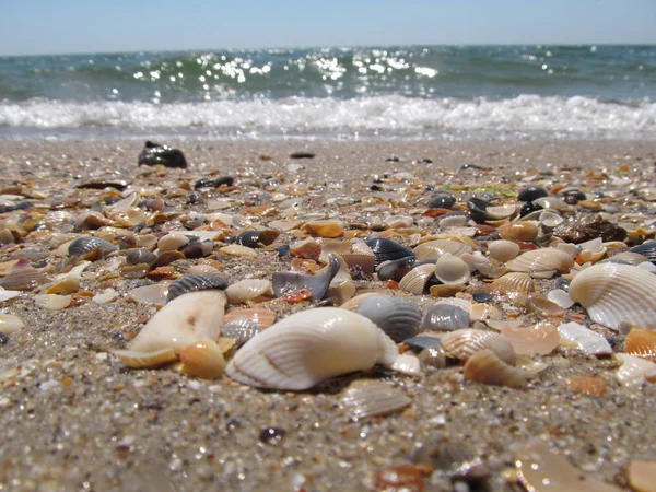 Plaj ve dalgalar üzerinde Karadeniz, Odessa