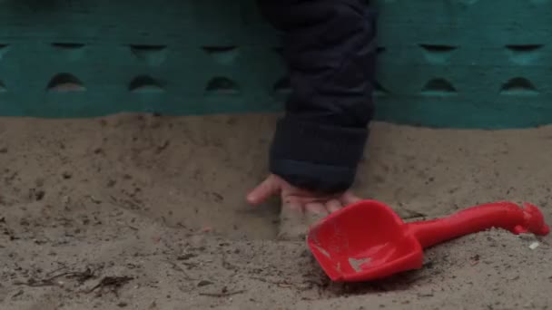 Child playing in sandbox — Stock Video