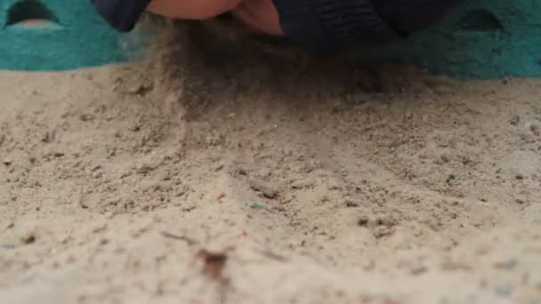 Child playing in sandbox — Stock Video