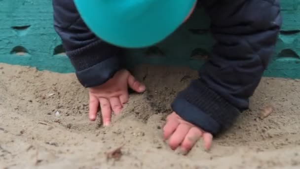 Child playing in sandbox — Stock Video