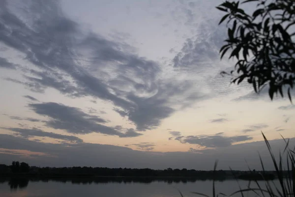 Красивый закат облачно-голубое яркое небо и золотой свет с силуэтом дерева размышляют о спокойной воде в озере — стоковое фото