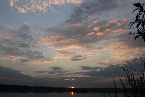 Belo pôr-do-sol azul nublado céu brilhante e luz dourada com árvore silhueta refletir sobre a água calma no lago — Fotografia de Stock