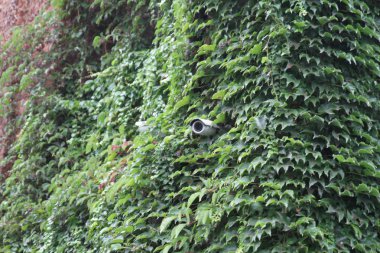 gizli kamera üzerinde tuğla duvar döndürme