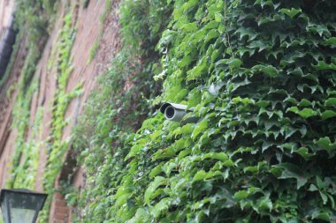 gizli kamera üzerinde tuğla duvar döndürme