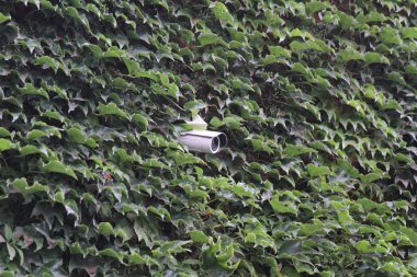 gizli kamera üzerinde tuğla duvar döndürme