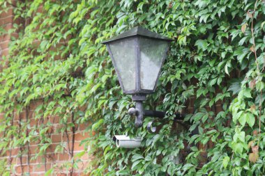 gizli kamera üzerinde tuğla duvar döndürme