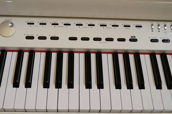 Stäng upp piano nyckel vitt klassiskt piano — Stockfoto