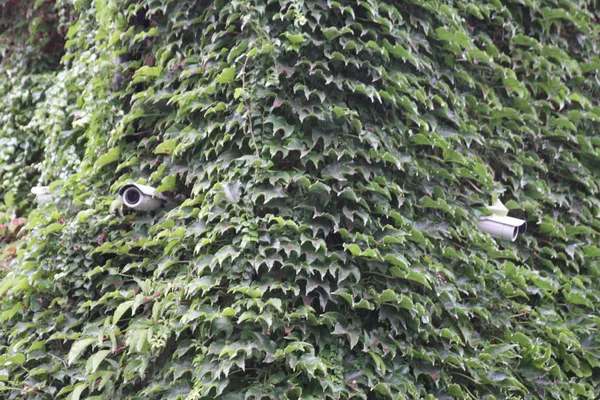 Rotating surveillance camera on brick wall