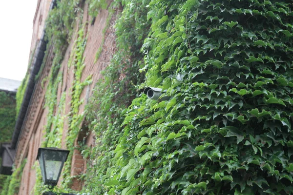 gizli kamera üzerinde tuğla duvar döndürme