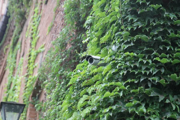 gizli kamera üzerinde tuğla duvar döndürme