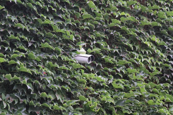 gizli kamera üzerinde tuğla duvar döndürme