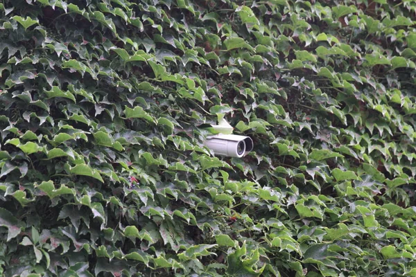 Rotating surveillance camera on brick wall