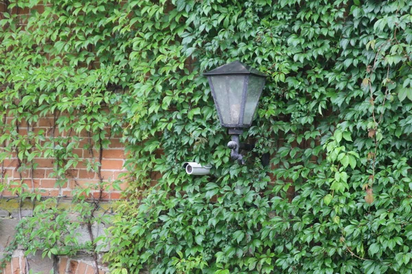 gizli kamera üzerinde tuğla duvar döndürme