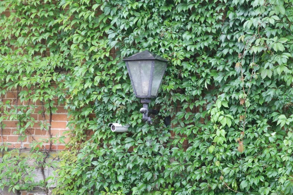 gizli kamera üzerinde tuğla duvar döndürme