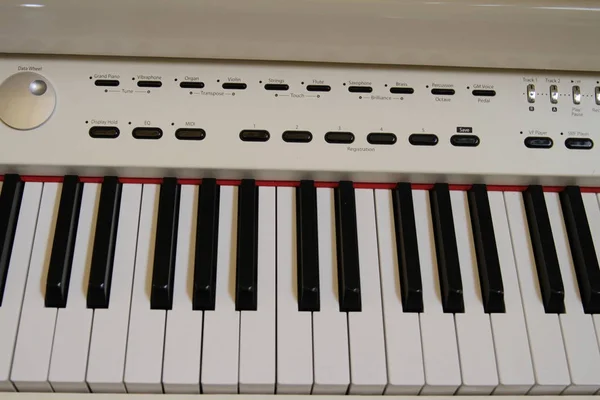 Close up piano key white classical piano Stock Picture