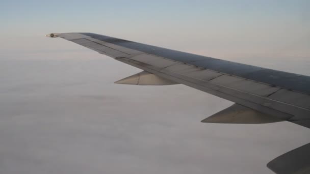 Uitzicht vanuit het raam van het vliegtuig aan de vleugel. — Stockvideo