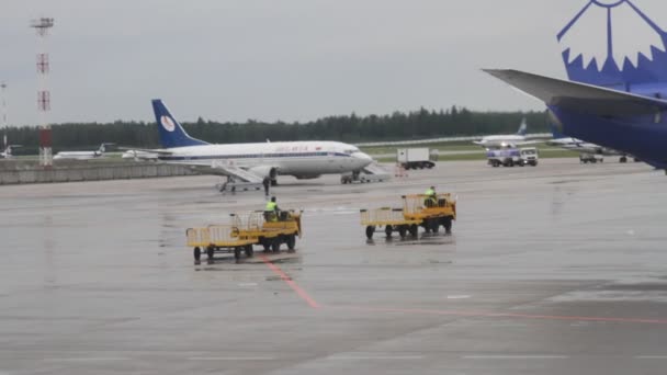 Flygplats personal serverar flygplanet före avgång och landning. — Stockvideo