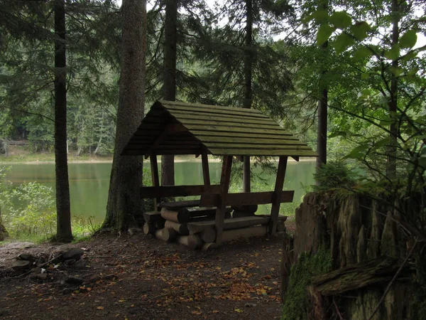 Деревянная беседка для отдыха и пикника на берегу лесного озера — стоковое фото