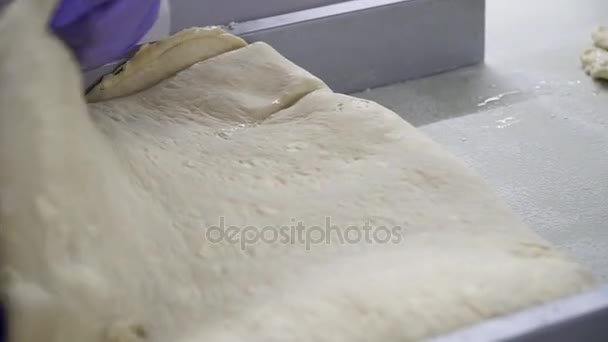 Producción de productos de panadería en una panadería. El panadero amasa la masa para hornear bollos . — Vídeos de Stock