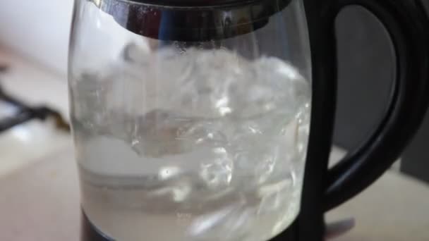Електричний чайник для киплячої води в домашніх умовах — стокове відео