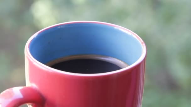 Versare acqua bollente in tazza per preparare tè all'aperto . — Video Stock