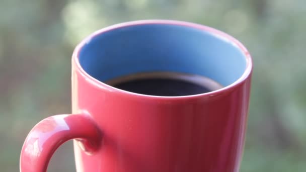 Versare acqua bollente in tazza per preparare tè all'aperto . — Video Stock