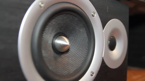 Membrana głośnika w kolumnie dźwięk podczas odtwarzania muzyki — Wideo stockowe