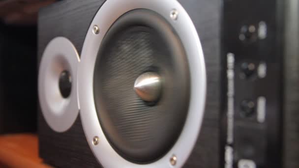 The speaker membrane in the sound column while playing music — Stock Video