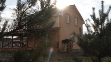 Süzme Çam yeşil iğneler aracılığıyla.