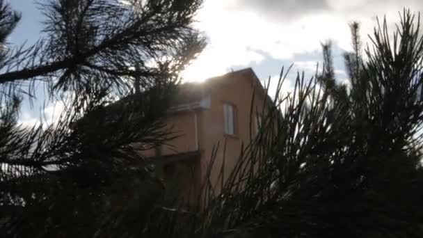 Εξοχικό σπίτι μέσα από το πράσινο βελόνες από πεύκο. — Αρχείο Βίντεο