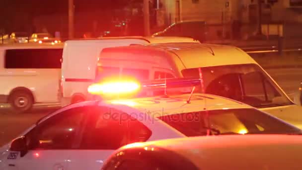 Luci di emergenza della polizia di notte in città. Luci sfocate del segnale speciale della polizia — Video Stock