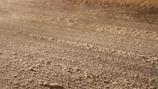 chutes de neige dans les rues du soir. flou spécifiquement améliorer le mouvement 