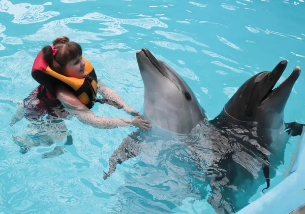 Niño feliz y delfines en agua azul. Terapia asistida con delfines — Foto de Stock