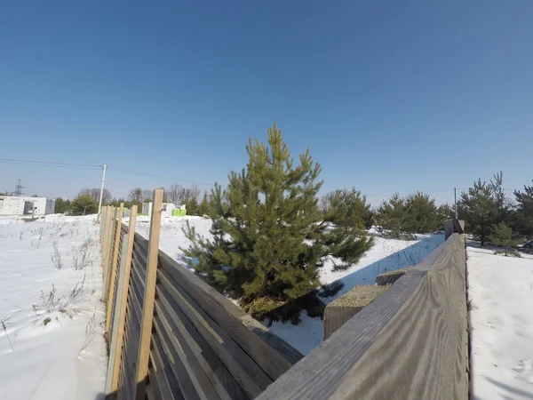 Plot of land in winter. Construction of a private house. Fence on the land in winter