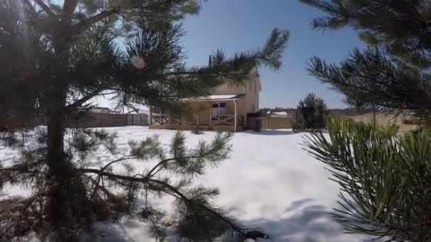冬の森のコテージ 冬の松の間に家 — ストック動画