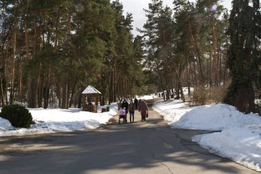 Kiev, 24 Mart 2018, Ukrayna. İnsanlar Kiev bir bahar Parkı yürüyor. Orman yolu kışın