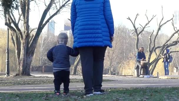 Mama Met Jarige Zoon Wandelen Het Park — Stockvideo