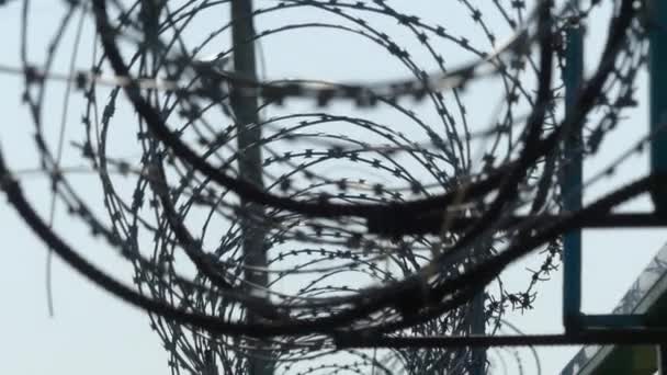 Arame Farpado Cerca Cerca Prisão — Vídeo de Stock