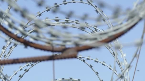 Du fil barbelé sur la clôture. Clôture de prison .