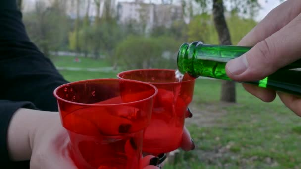 Αλκοόλ Στο Πάρκο Γκρο Πλαν Αντρικά Χέρια Ρίξτε Σαμπάνια Ποτήρια — Αρχείο Βίντεο