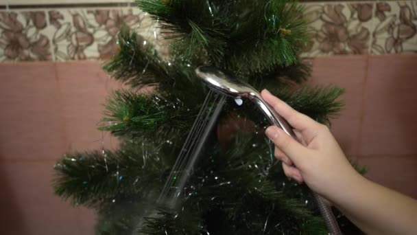 准备新的一年 少女在浴室里洗了一棵人造圣诞树 雨中的圣诞树 — 图库视频影像