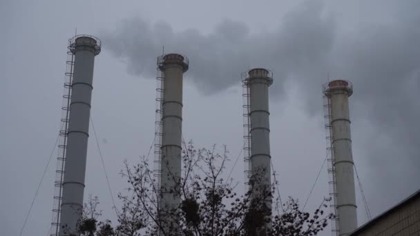 灰色の曇りの空を背景に煙工業用パイプ 灰色の空に対する植物の煙突から煙 環境汚染 地球温暖化大気汚染だ閉鎖 — ストック動画